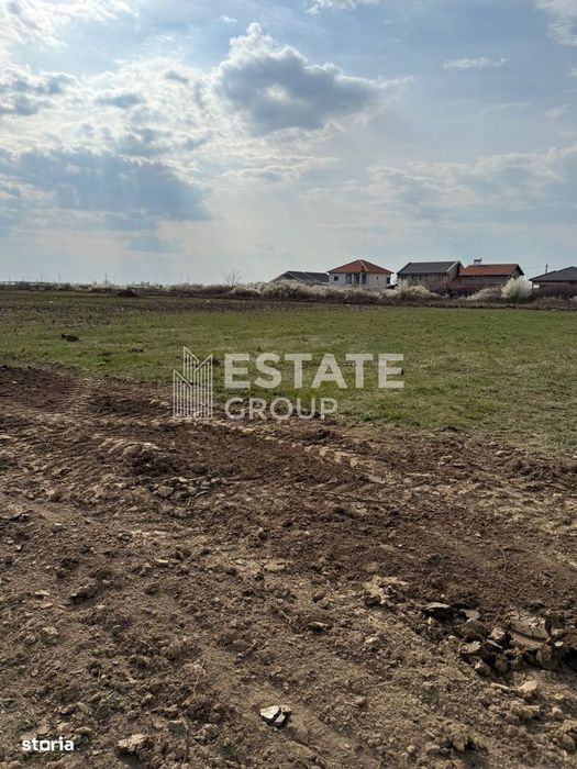 Mosnita Noua, front stradal 22 ml