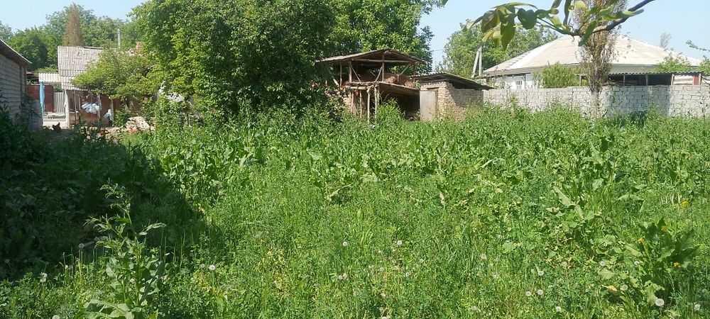 Срочно! продаётся дом с участком 12 сотк