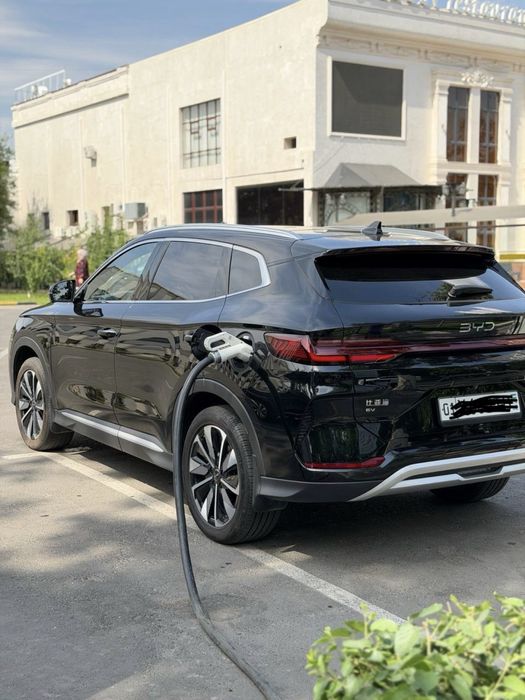 Byd champion 25 versiya