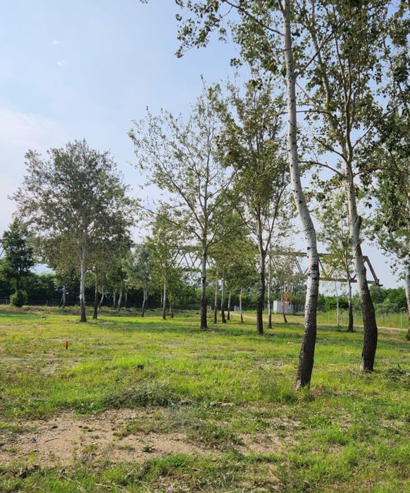 Teren cu deschidere la Dunăre