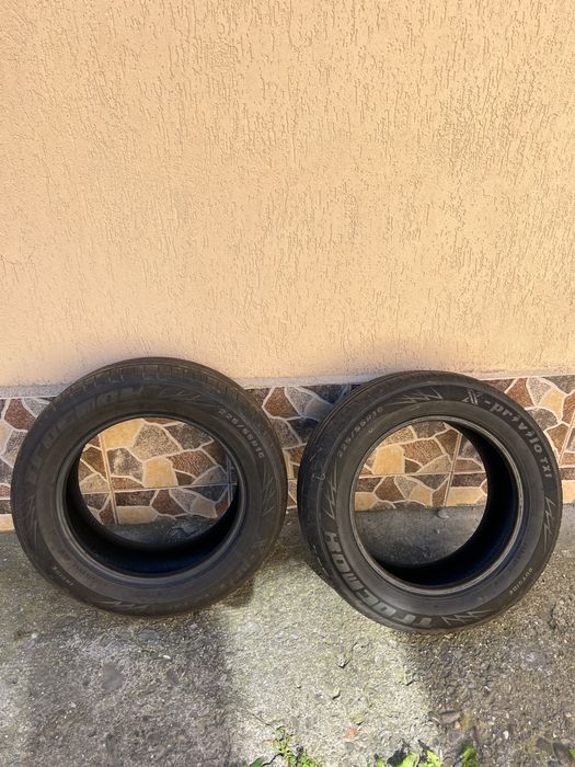 Caucucuri vara 16