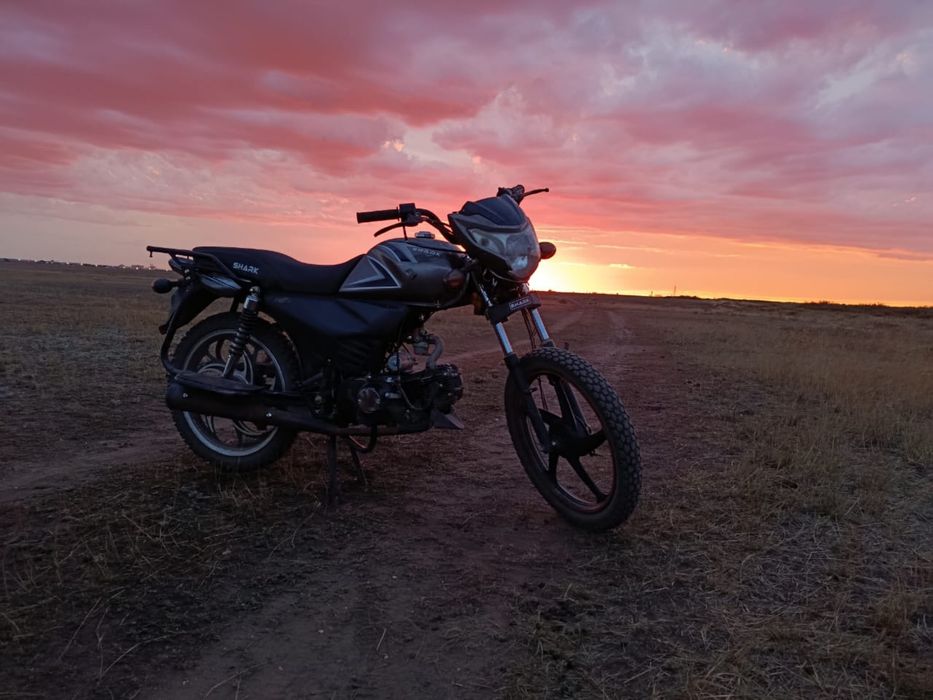 Альфа SHARK 125 куб