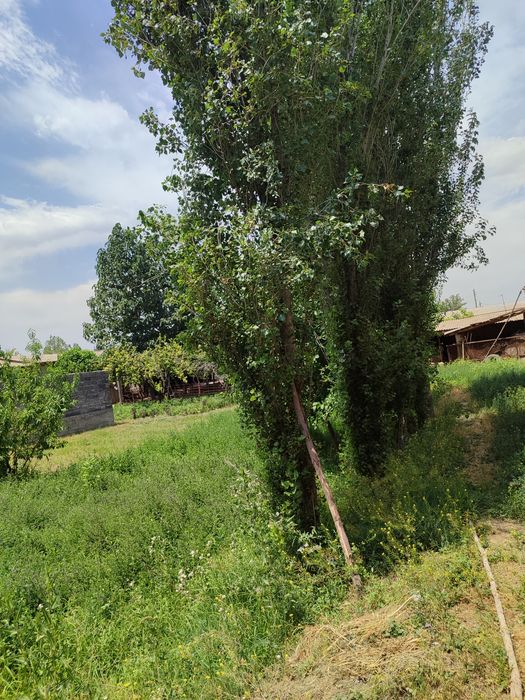 Uchastka sotiladi