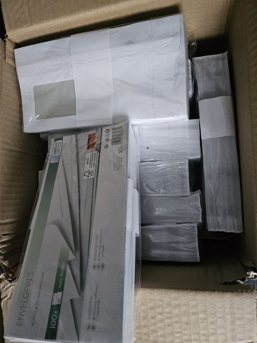 Plicuri format DL 1000 de buc 100 lei