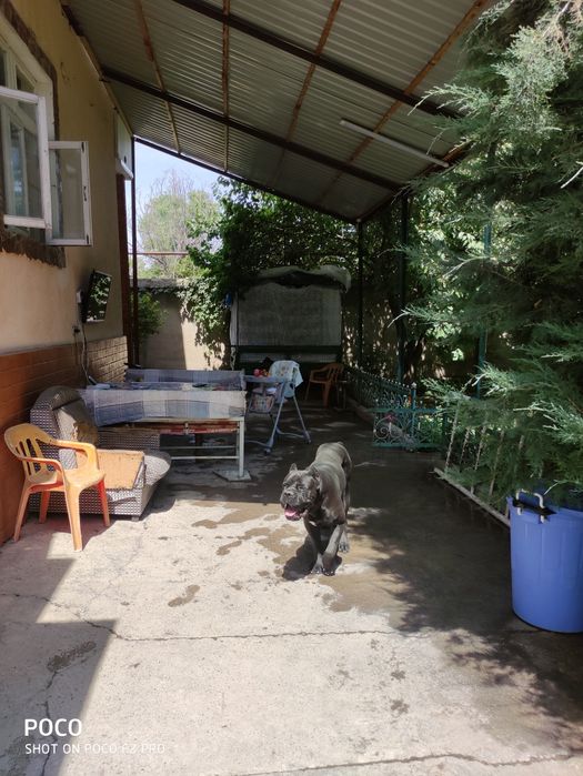 Продается дом в чингельды