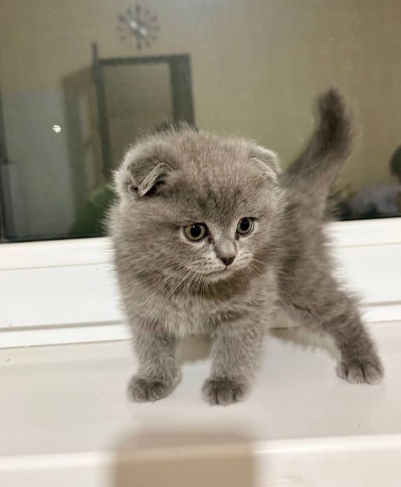 2 малчик 1 девочка