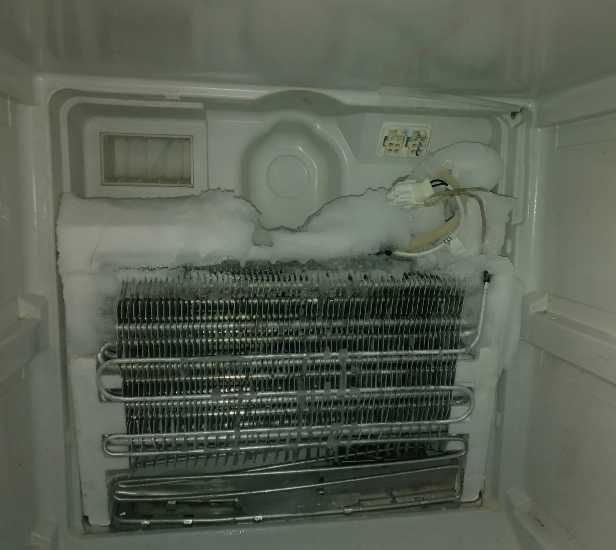 Срочный ремонт холодильников в Таразе морозильников всех марок