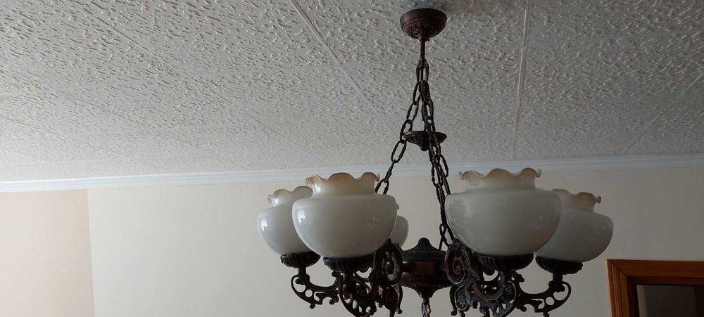 Полилей кована мед