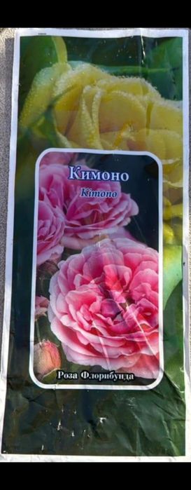 цветушие розы 20 вмдов
