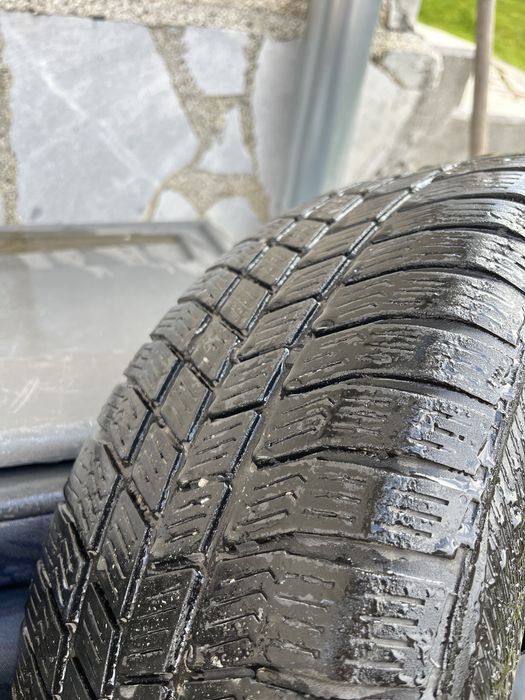 Barum polaris 3 195 65 15 91H