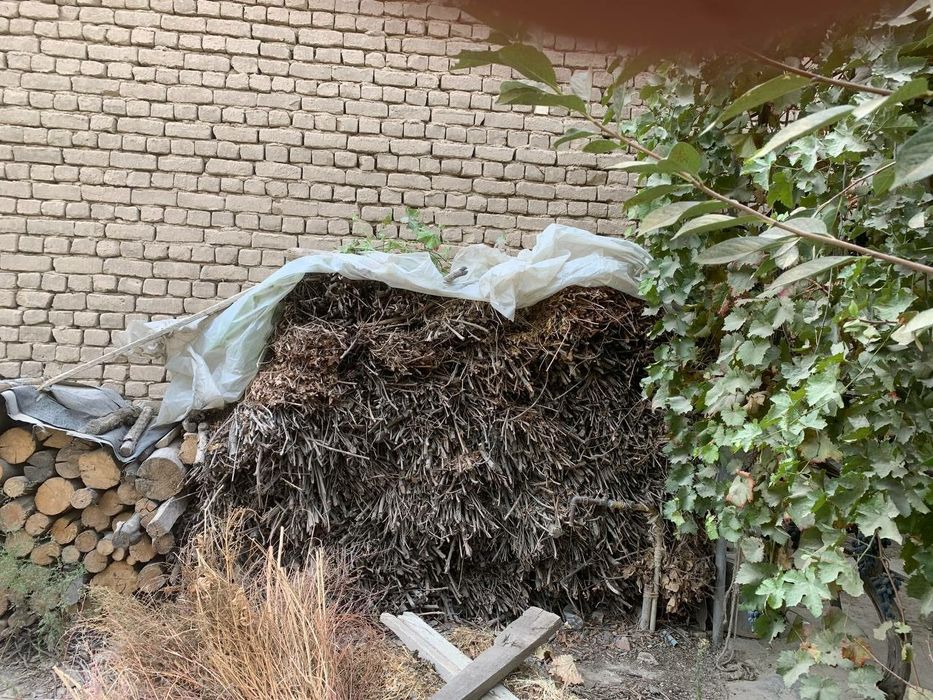 Ўтин сотилади майда йирик алоҳида сотилади