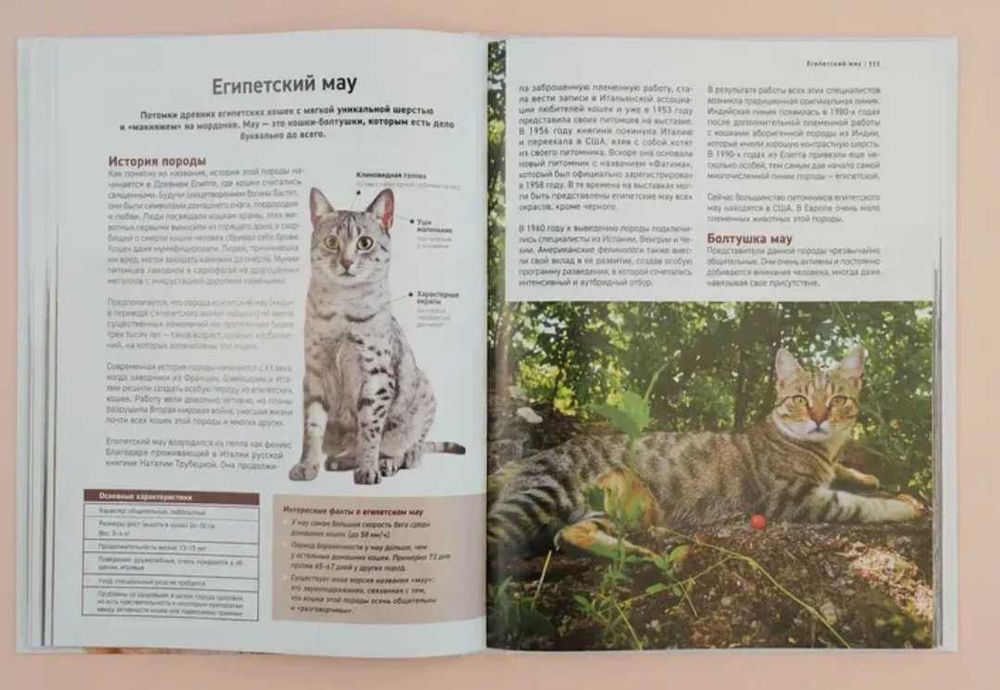 Книга "Породы кошек "