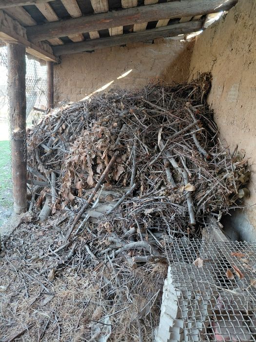 Отын агаш отын агаш