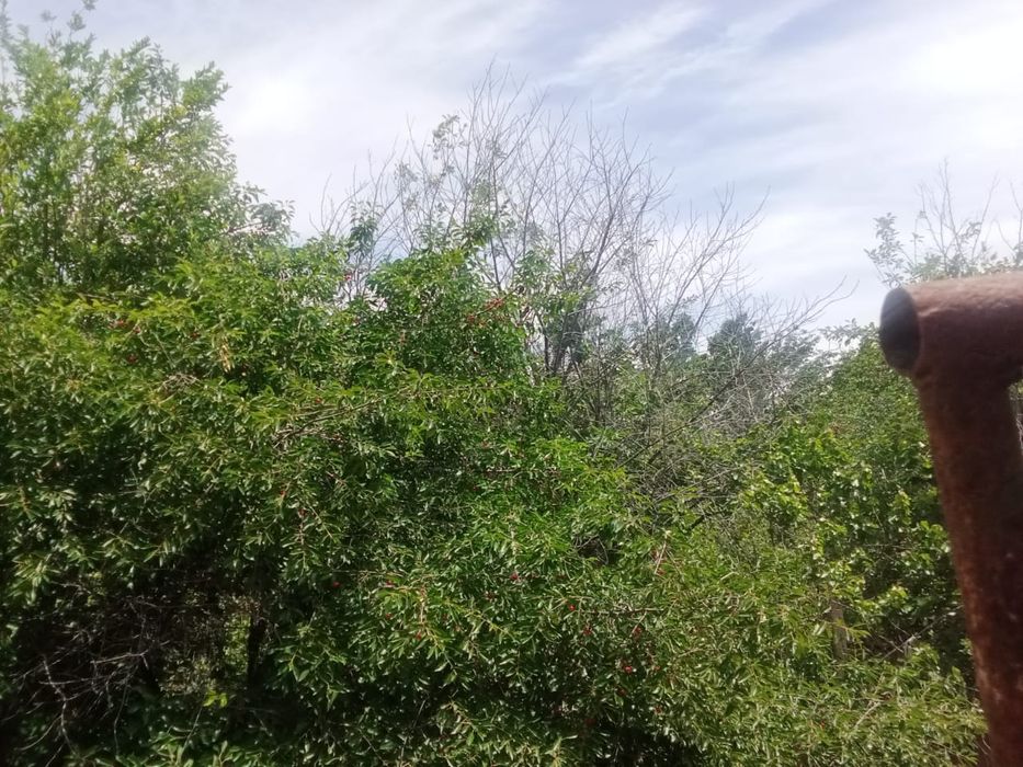 Продажа дома в Чубаровке