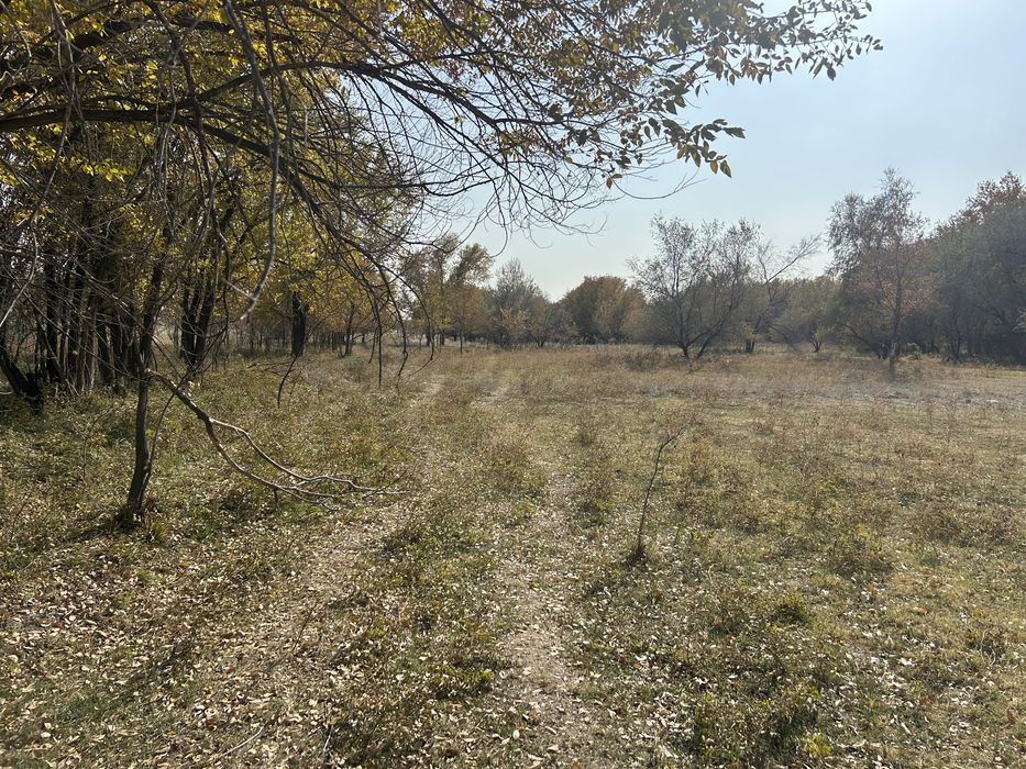 Участок под фазенду КХ