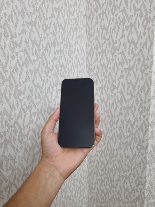 iPhone 16 Pro Max 256 GB sim