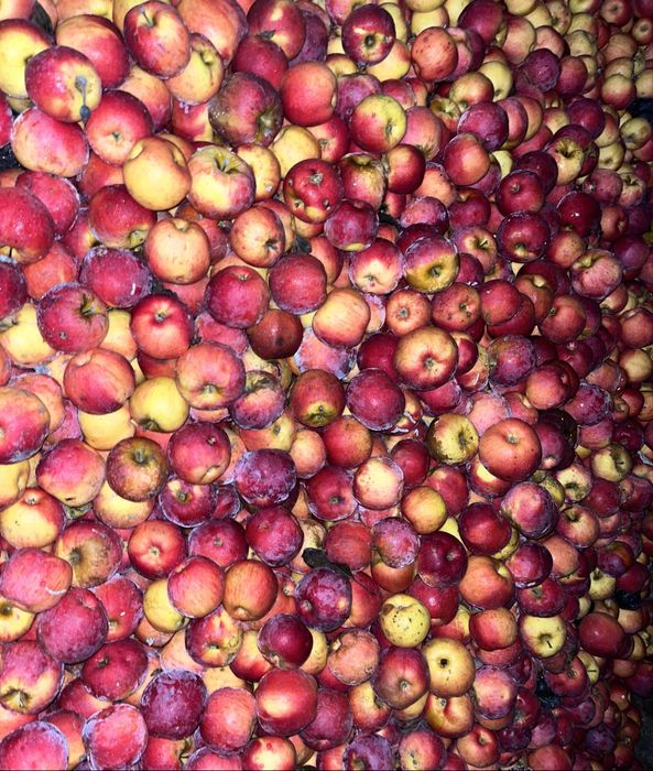 Mere de vânzare Florina ,Iudared , Ionatan