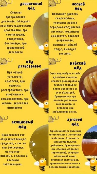 Бал (Мёд) Катон Қарағайдікі