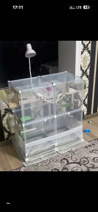 Продам попугайчиков полный комплект