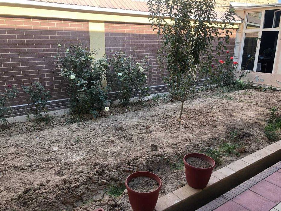 Тошкент тумани, Кок-терак Дом