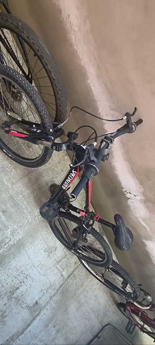 Biciclete mici și mari
