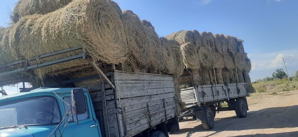 сено люцерна жоношка урлон жоношка