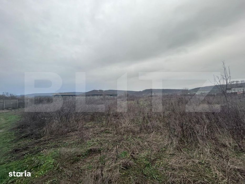 Teren extravilan de vanzare, 10.000 mp - Turcinesti
