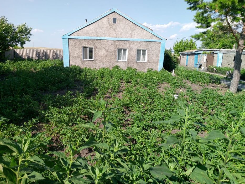 Продается дом. С урожаем