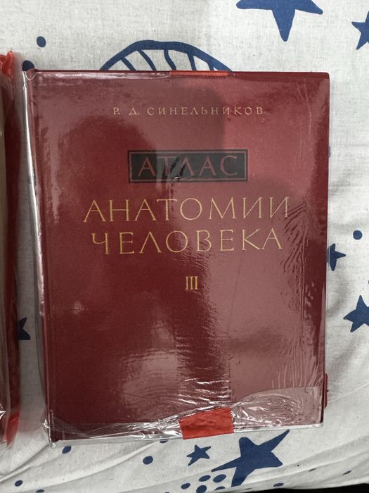 Атлас Синельников