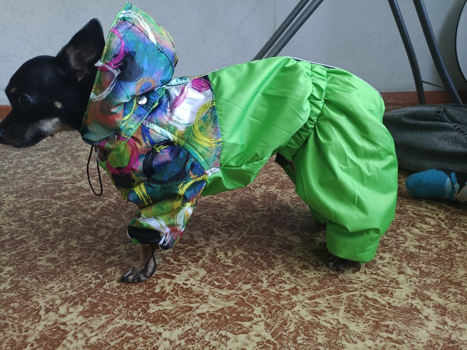 Продам новый комбез для собак