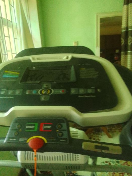 Бегавой дарошка холати зор