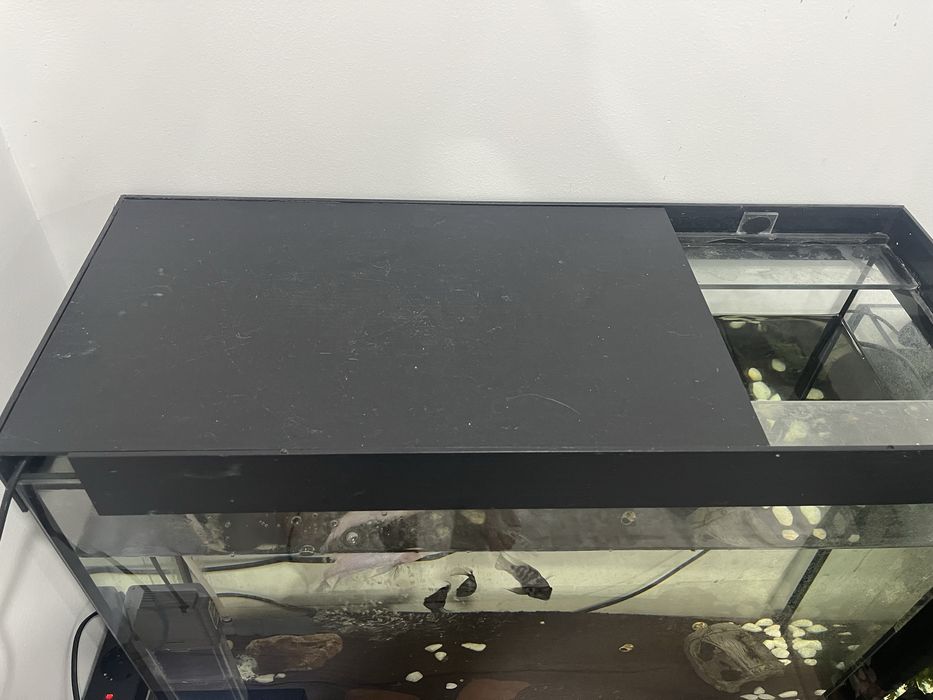 Аквариум 80 литров