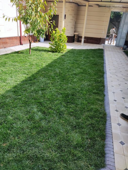 Рулонные газоны из первых рук! Робота под ключ. +Посев семена.