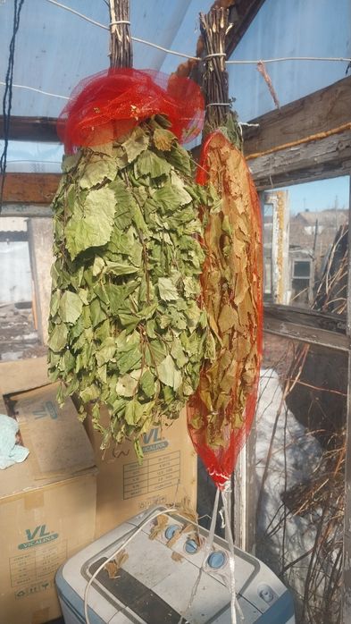 Продам банные берёзовый веники