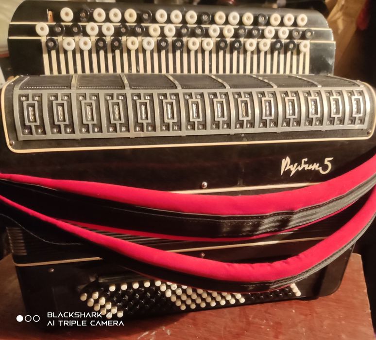 Рубин 5 Баян Выборный