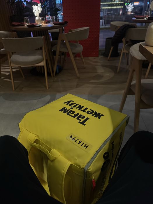 Термо сумка яндекс