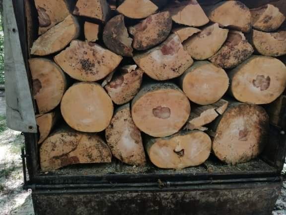 Lemne de foc la cele mai mici prețurii