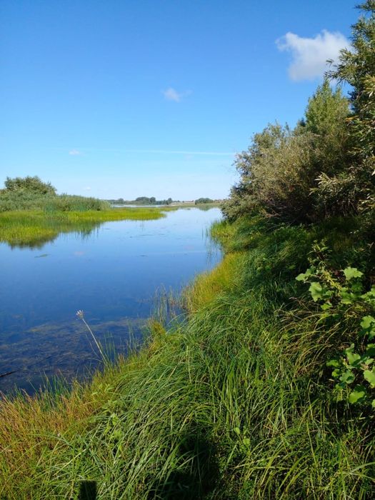 Продам христианское хозяйсво