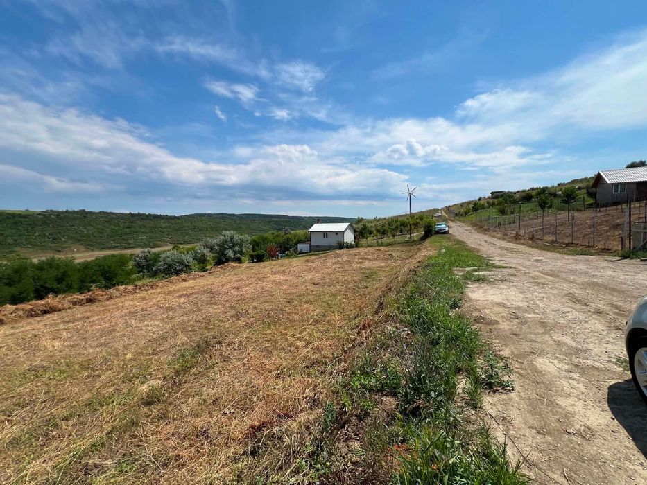 Teren Intravilan Carlig - Carolina  1500 mp Iasi 5 km pana la Mihai Viteazu cel mai mic pret din zona. Oportunitate investitie