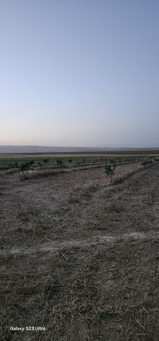 Хамкор шерик кераг