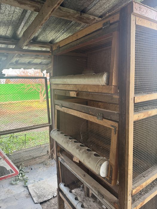 Брудер для цыплят