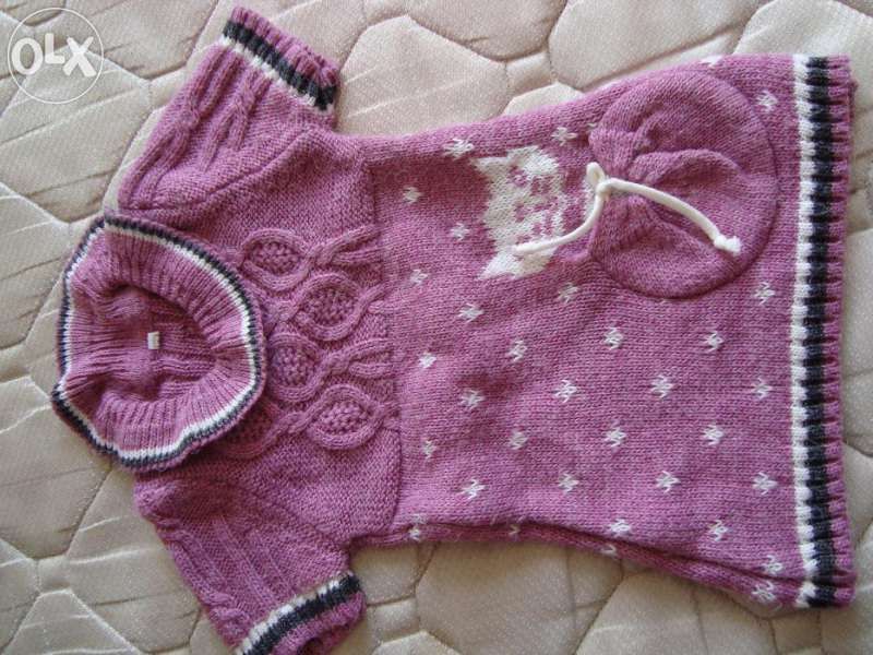 Модерна поличка за малка госпожица и красив блузон за зимата