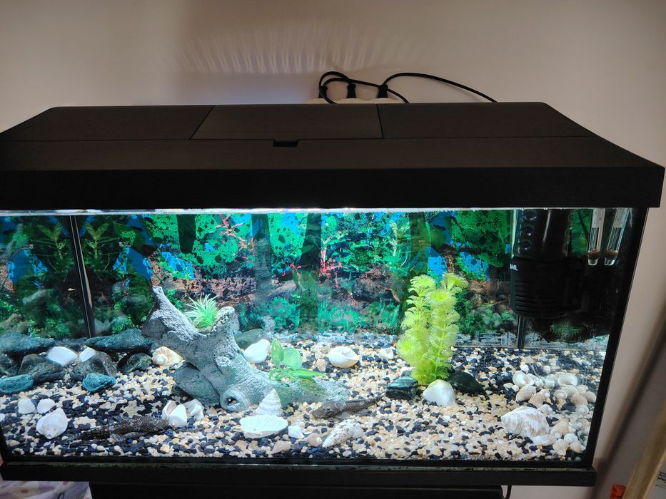 Vând  acvariu complet