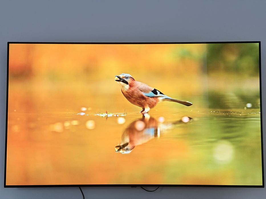Televizor OLED LG OLED65B13LA, 164 cm