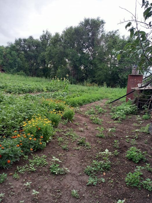 Продам дом, село Сырымбет