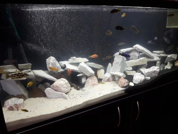 Akvarium uchun dekorativ toshlar. Peschanik va bud kamen