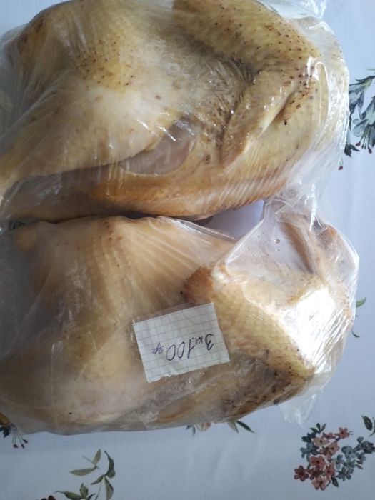 Домашняя курицаа