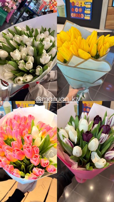 Тюльпаны продам. Красивые, качественные, в розницу