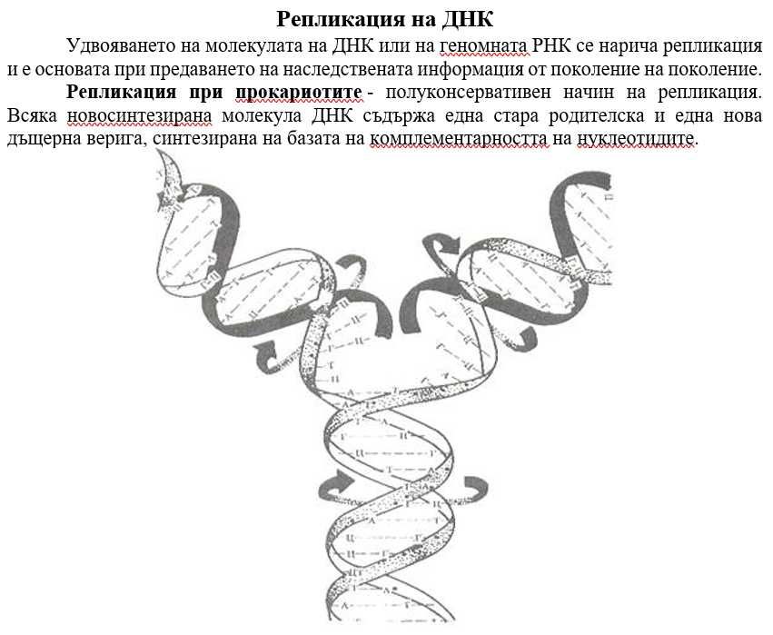 Генетика - лекционен курс