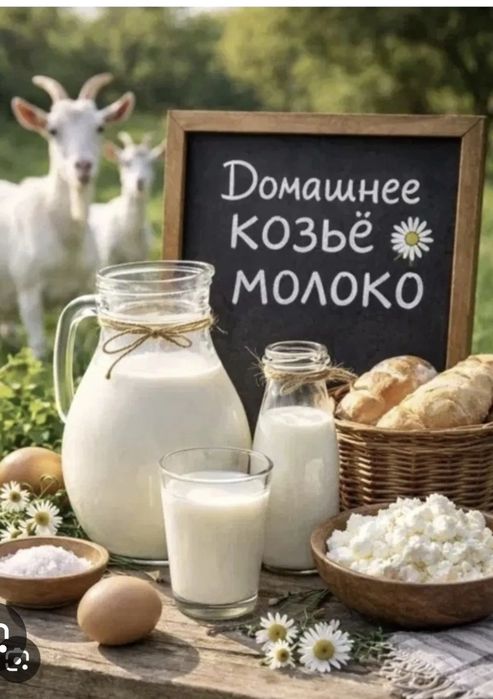 Домашнее козье молоко.